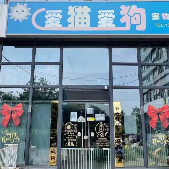 爱猫爱狗宠物生活馆:北京城区朝阳区双桥附近