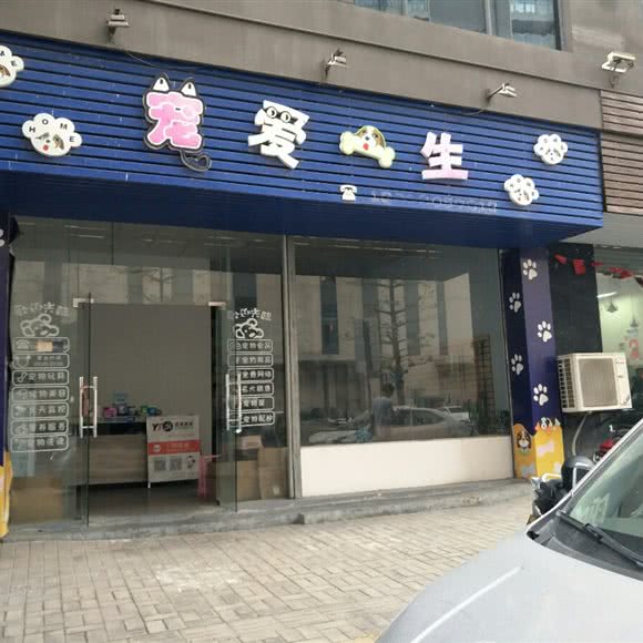 宠爱一生:江门市鹤山市