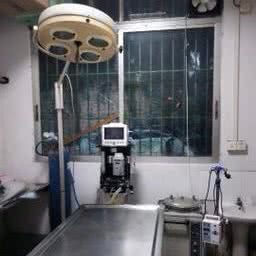 多杰宠物诊所:江门市鹤山市