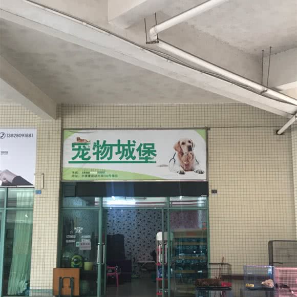 宠物城堡:江门市恩平市