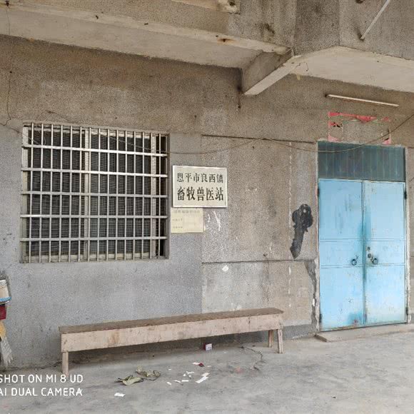 恩平市良西镇畜牧兽医站:江门市恩平市