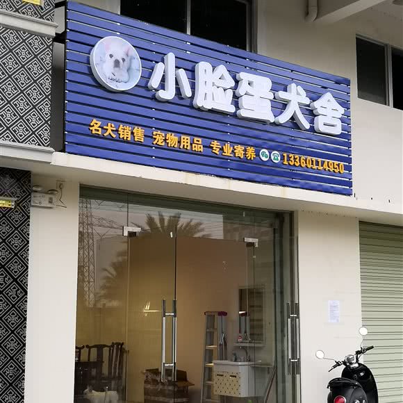 小脸蛋犬舍:湛江市赤坎区