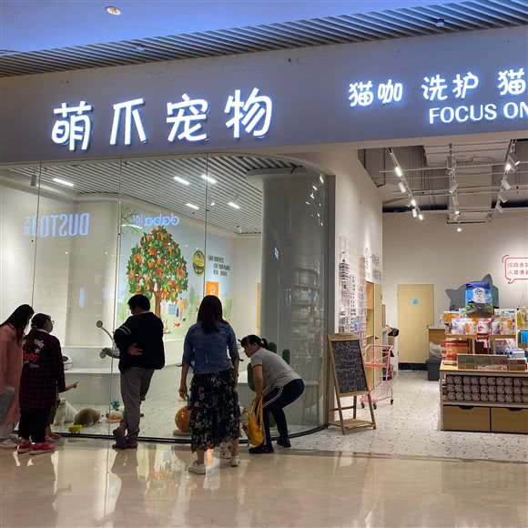 萌爪宠物(华都汇店):湛江市霞山区