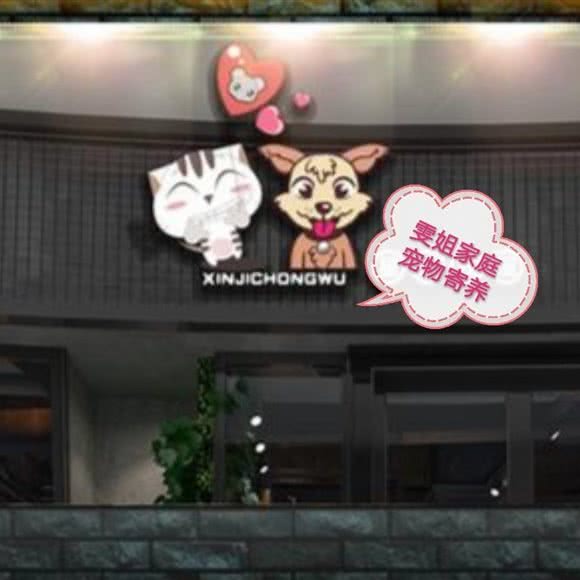 家庭宠物寄养(雯姐温馨家庭宠物寄养):湛江市霞山区