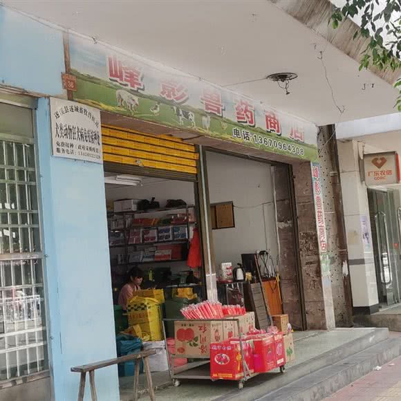 遂溪县遂城畜牧兽医站:湛江市遂溪县