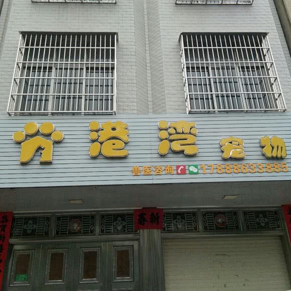 港湾宠物:湛江市廉江市