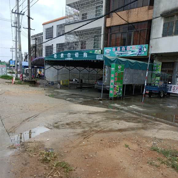 老弟白切狗:湛江市廉江市