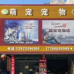萌宠宠物(城南店):湛江市廉江市