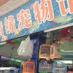 情缘宠物馆:湛江市廉江市