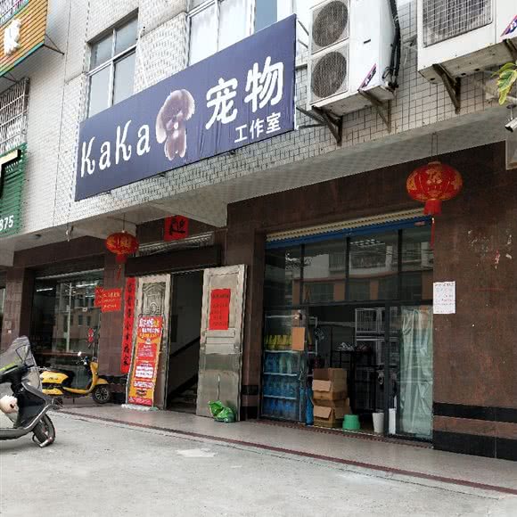 kaka宠物 工作室:湛江市廉江市