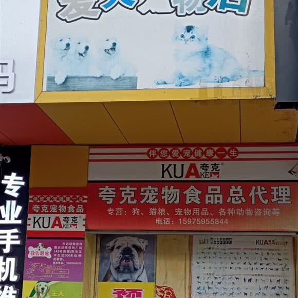 爱犬宠物店:湛江市廉江市