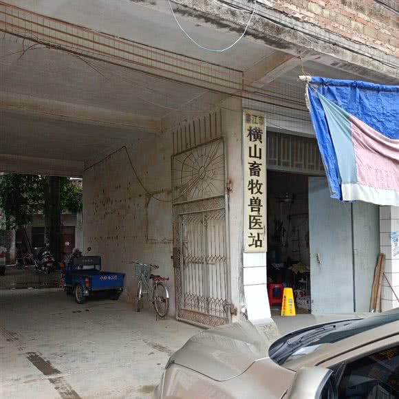横山畜牧兽医站:湛江市廉江市