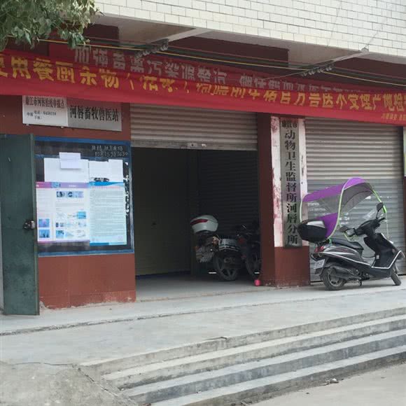 河唇畜牧兽医站:湛江市廉江市