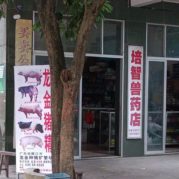 培智兽医店:湛江市廉江市