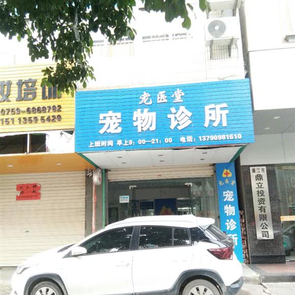 宠医堂宠物诊所:湛江市廉江市