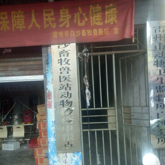 白沙畜牧兽医站动物检疫申报点:湛江市雷州市