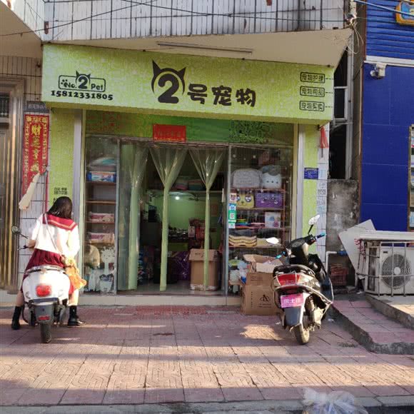 2号宠物店:湛江市吴川市
