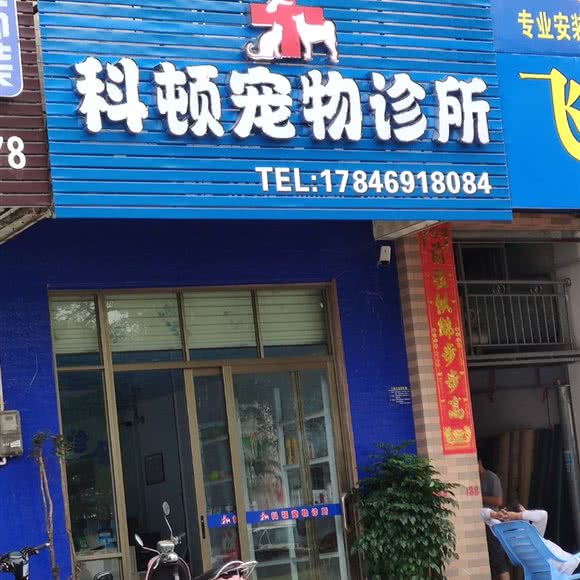 科顿宠物诊所:湛江市吴川市
