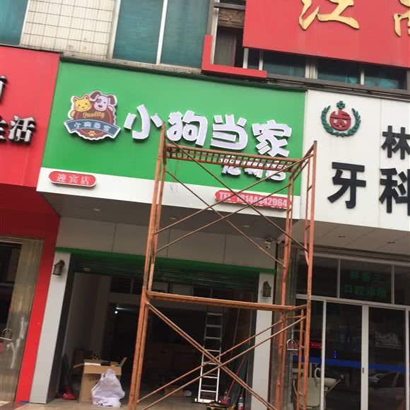 小狗当家:茂名市茂南区