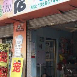 宠怡居宠物店:茂名市电白区