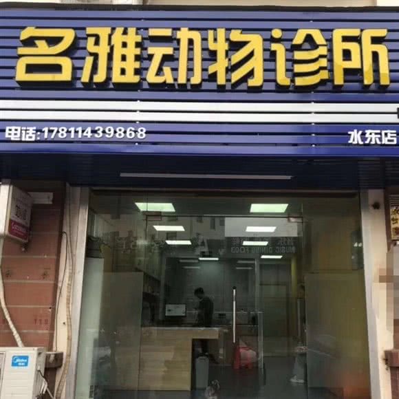 名雅动物诊所(电白店):茂名市电白区
