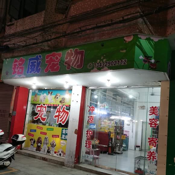 铭威宠物:茂名市高州市