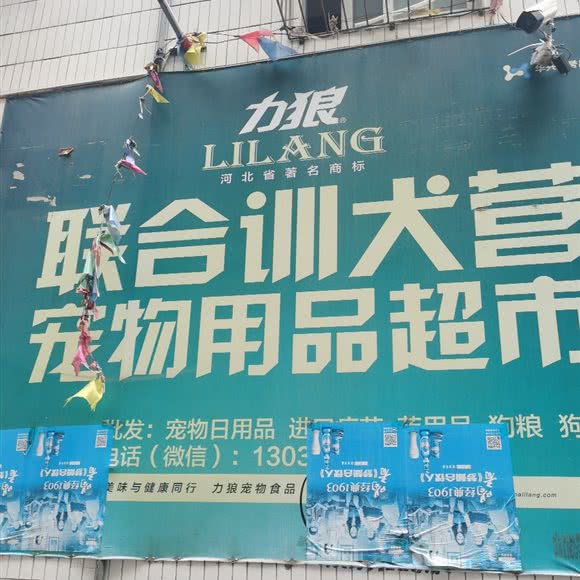 力狼联合训犬营宠物用品超市:茂名市高州市