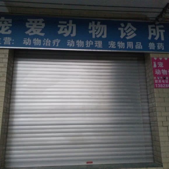 宠爱动物诊所:茂名市高州市