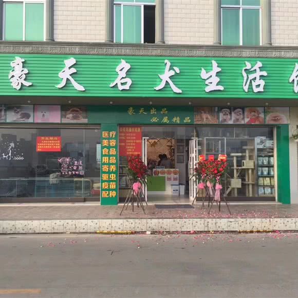 豪天名犬生活馆:茂名市化州市