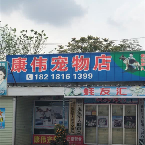 康伟犬舍:茂名市化州市