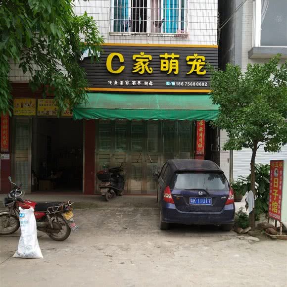 C家萌宠:茂名市化州市