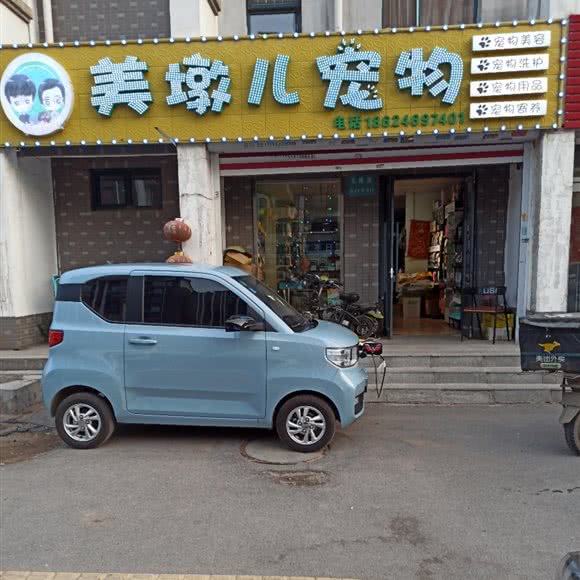 美墩儿宠物:沈阳市沈河区东陵路/沈阳农业大学附近