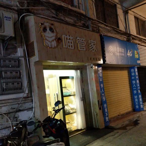 喵管家:肇庆市端州区
