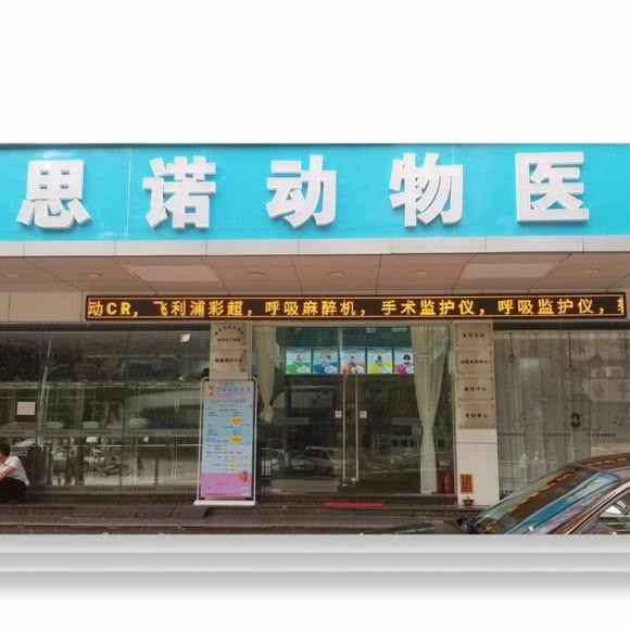 思诺动物医院:肇庆市端州区