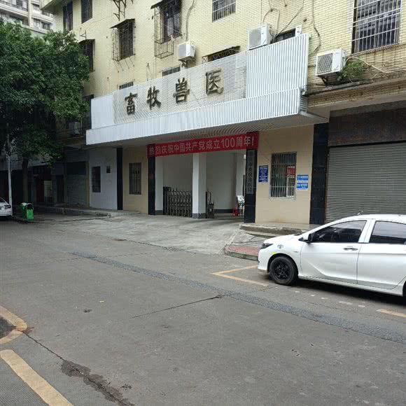 肇庆市畜牧兽医局:肇庆市端州区