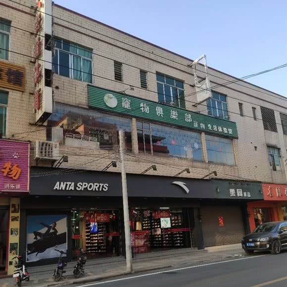 宠物俱乐部宠物生活体验馆:肇庆市高要区