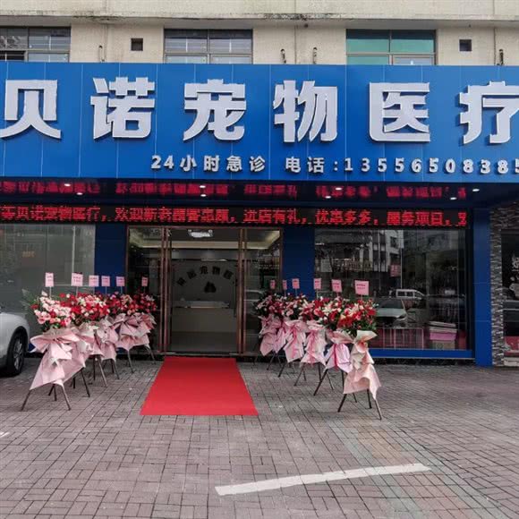 贝诺宠物医疗:肇庆市高要区