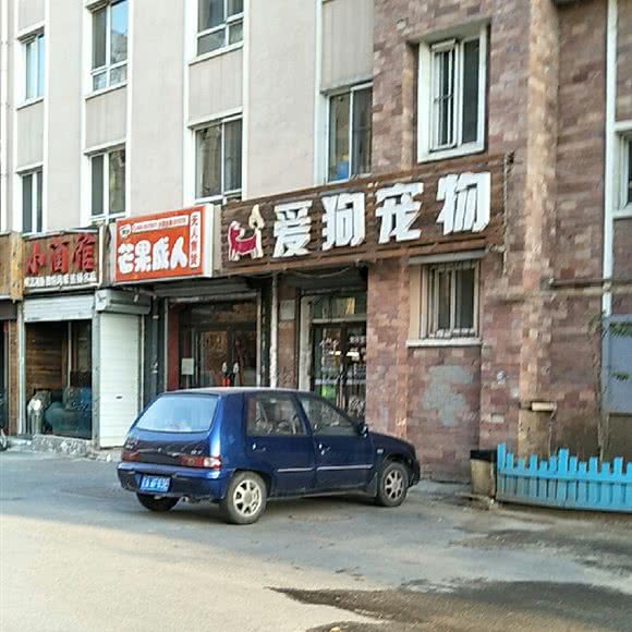 爱狗宠物:沈阳市沈河区东陵路/沈阳农业大学附近