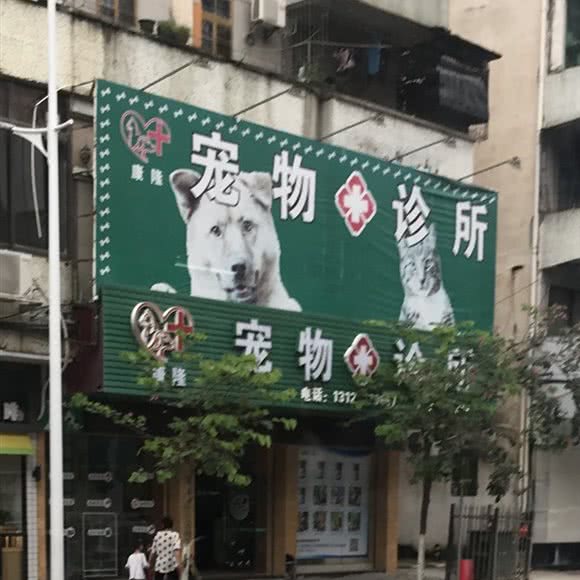 宠物诊所:肇庆市广宁县