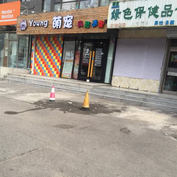 Young萌宠风范造型:沈阳市沈河区东陵路/沈阳农业大学附近