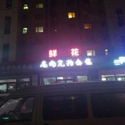 恋尚宠物会馆:沈阳市沈河区东陵路/沈阳农业大学附近