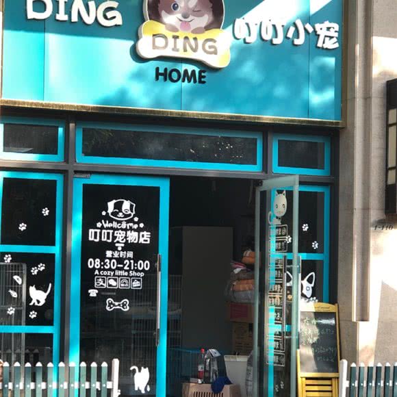 叮叮小宠宠物店:惠州市惠城区