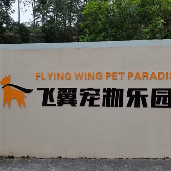 飞翼宠物乐园:惠州市惠城区