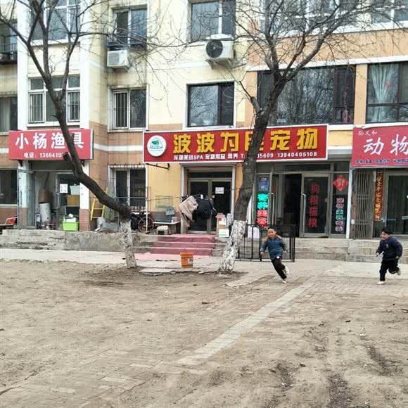 波波为民宠物:沈阳市沈河区东陵路/沈阳农业大学附近