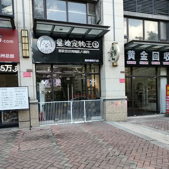 星迪宠物王国(淡水分店):惠州市惠阳区