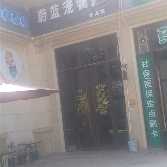 蔚蓝宠物生活馆:惠州市惠阳区