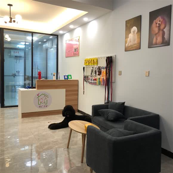 萌宠小屋:惠州市惠阳区