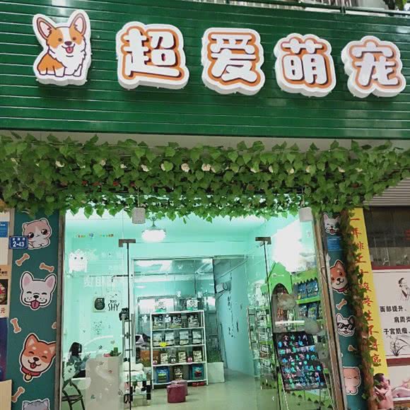 超爱萌宠宠物店:惠州市惠阳区