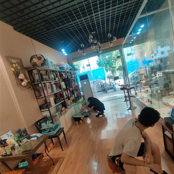 佳缘萌宠屋:惠州市惠阳区