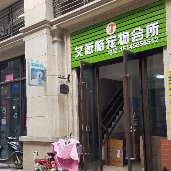 艾薇格宠物会所:惠州市惠阳区